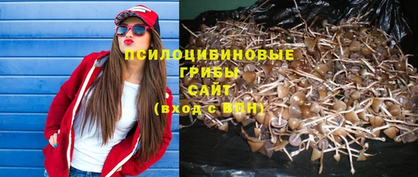 круглые Лагань