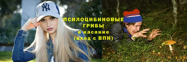 сатива Ладушкин