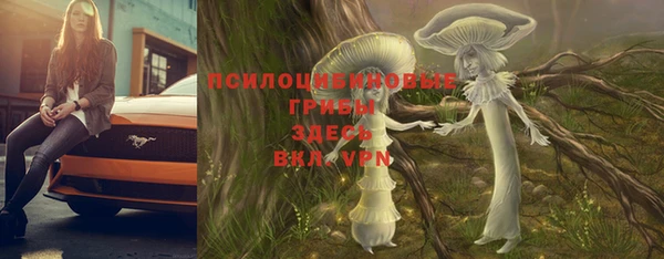 сатива Ладушкин